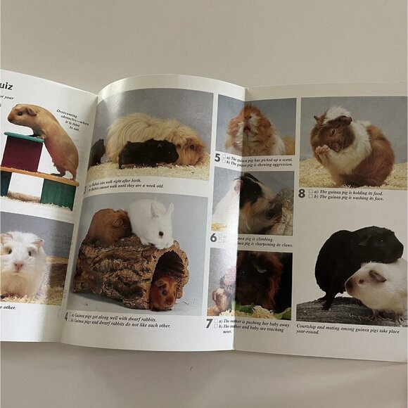 Guinea Pigs Family Pet Series Katrin Behrend Barron's Paperback Care Guide - Picture 6 of 12
